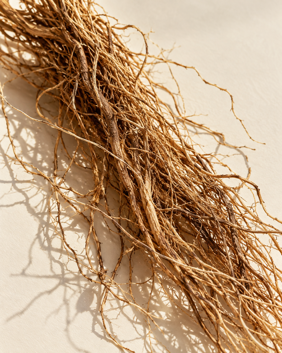 Vetiver