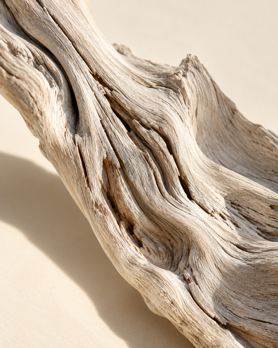 Driftwood